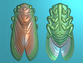 自學(xué)玉石雕刻金蟬玉雕圖案_玉石自動(dòng)加工設(shè)備廠