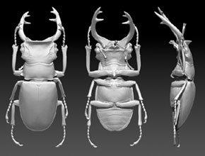 甲蟲(chóng)精雕模型圖紙下載_享刻玉器電腦雕刻機(jī)廠(chǎng)家