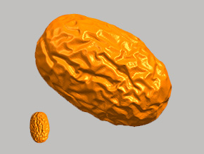 紅棗擺件玉雕機(jī)玉雕精雕圖_享刻數(shù)控雕刻機(jī)廠家